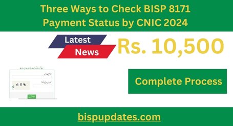 Three Ways to Check BISP 8171 Payment Status by CNIC 2024