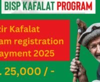 Benazir Kafalat Program registration and payment 2025