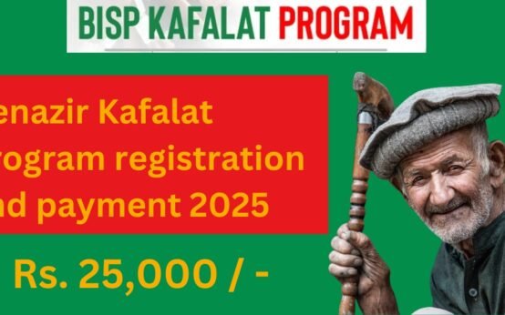 Benazir Kafalat Program registration and payment 2025