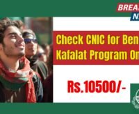 Check CNIC for Benazir Kafalat Program Online