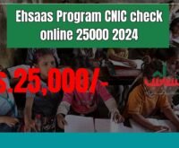 Ehsaas Program CNIC check online 25000 2024