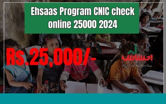 Ehsaas Program CNIC check online 25000 2024