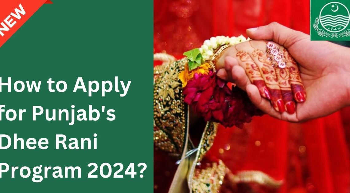 How to Apply for Punjab Dhee Rani Program 2024?