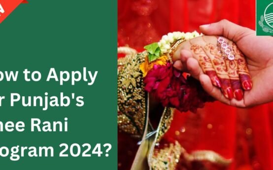 How to Apply for Punjab Dhee Rani Program 2024?