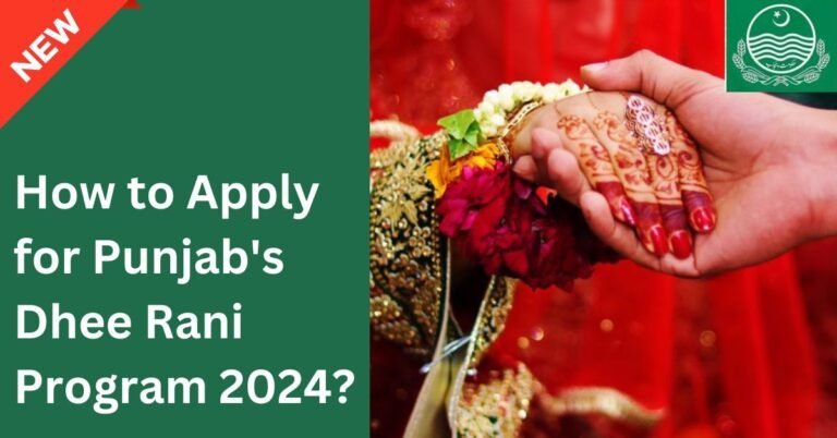 How to Apply for Punjab Dhee Rani Program 2024?