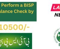 How to Perform a BISP 8171 Balance Check by CNIC?