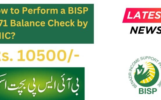 How to Perform a BISP 8171 Balance Check by CNIC?