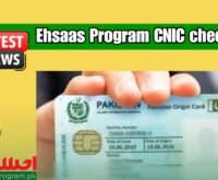 Latest Method for Ehsaas Program CNIC check online 25000