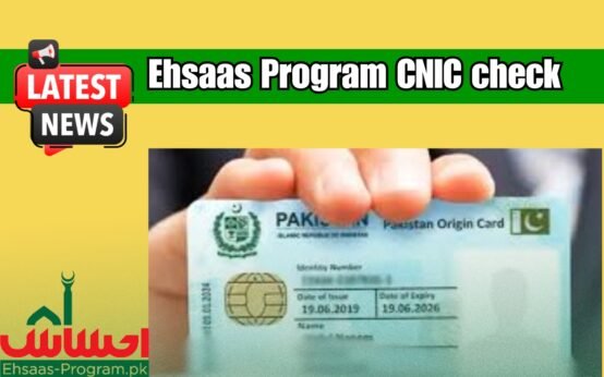 Latest Method for Ehsaas Program CNIC check online 25000