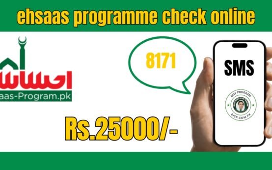 ehsaas program,ehsaas program 2023,ehsaas 7000 online check,ehsaas programe bisp ehsas program,ehsaas program ke paise check karne ka tarika,ehsaas program ke paise kaise check karen,ehsaas program 7000,ehsaas program 8171 check online 2024,8171 ehsaas program 2024,how to check ehsaas program money online,ehsas program,how to check ehsaas program balance online,ehsaas program online registration check,how to check ehsaas program payment online 2022