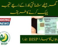 Get BISP 8171 Result Check Online by CNIC in 4 STEPS