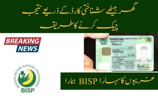 Get BISP 8171 Result Check Online by CNIC in 4 STEPS