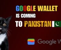 Google Wallet in Pakistan Will Launch in January 2025