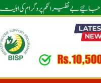 How to Check BISP Payment 2024 and Eligibility?