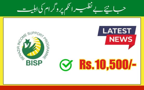 How to Check BISP Payment 2024 and Eligibility?