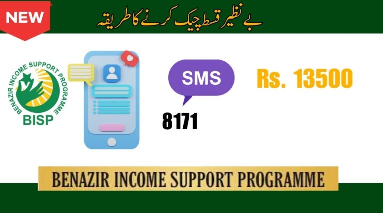 How to Do Benazir Kist Check?