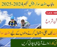 How to Register for the Punjab Solar Panel Program?