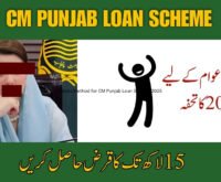 Latest Method for CM Punjab Loan Scheme 2025