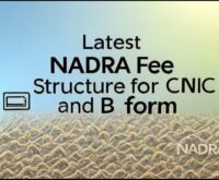 NADRA Latest Fee Structure for CNIC and B Form 2025