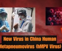 New Virus in China Human Metapneumovirus (hMPV Virus)