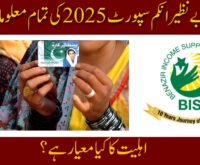 BISP Payment Schedule 2025 Know Details of Different Cities