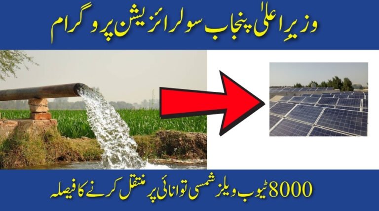 Chief Minister Solarization Program