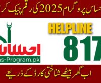 Ehsaas Program CNIC Check Online 2025