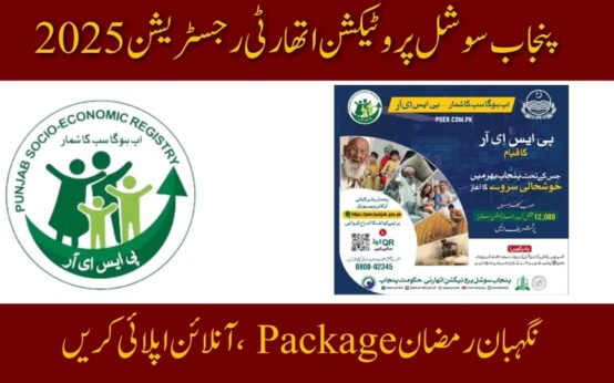 PSER Online Registration 2025