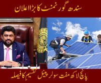 Sindh Government Announces Free Solar System in Sindh