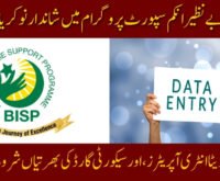 BISP Data Entry Jobs 2025