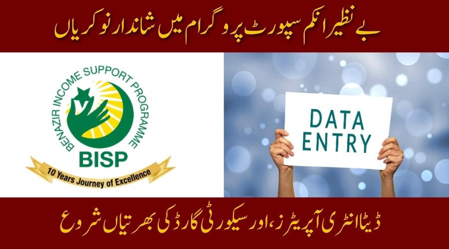 BISP Data Entry Jobs 2025