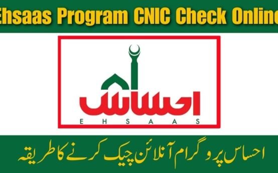 Ehsaas Program CNIC Check Online 2025