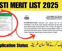 STI Meri List Check Online