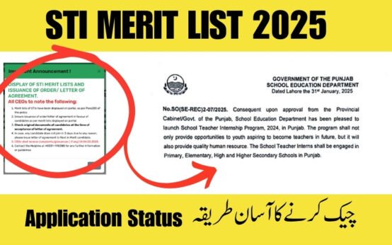 STI Meri List Check Online